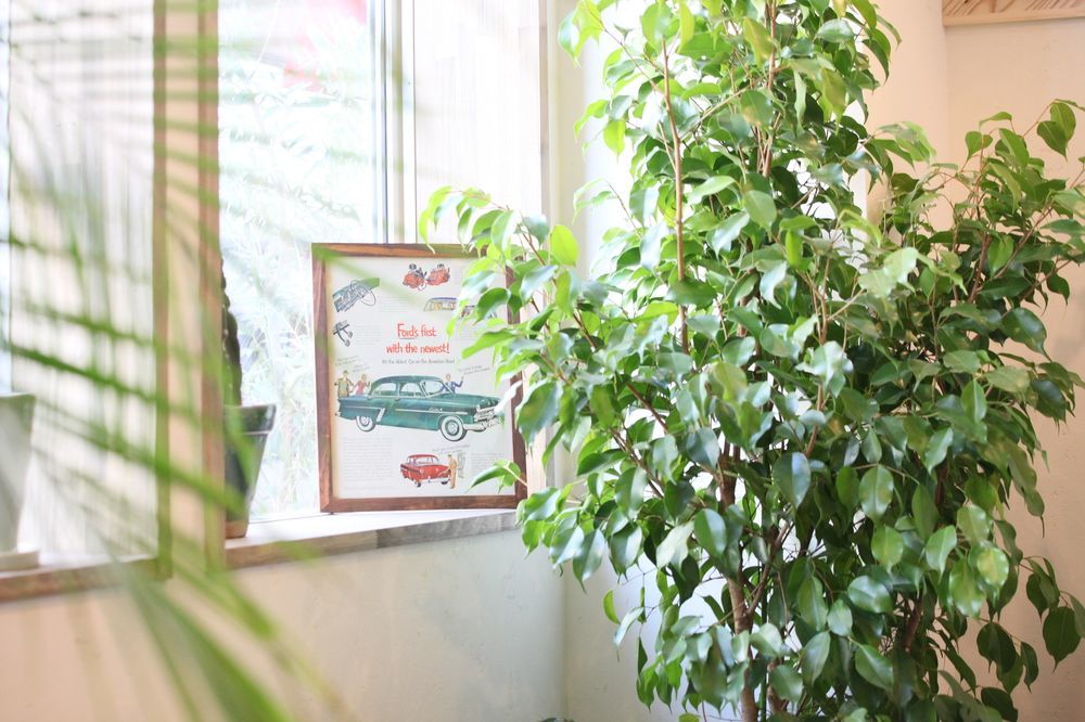 North Front Hostel Фукутияма Экстерьер фото